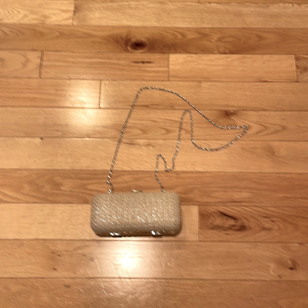 Evening or fun party clutch or shoulder bag